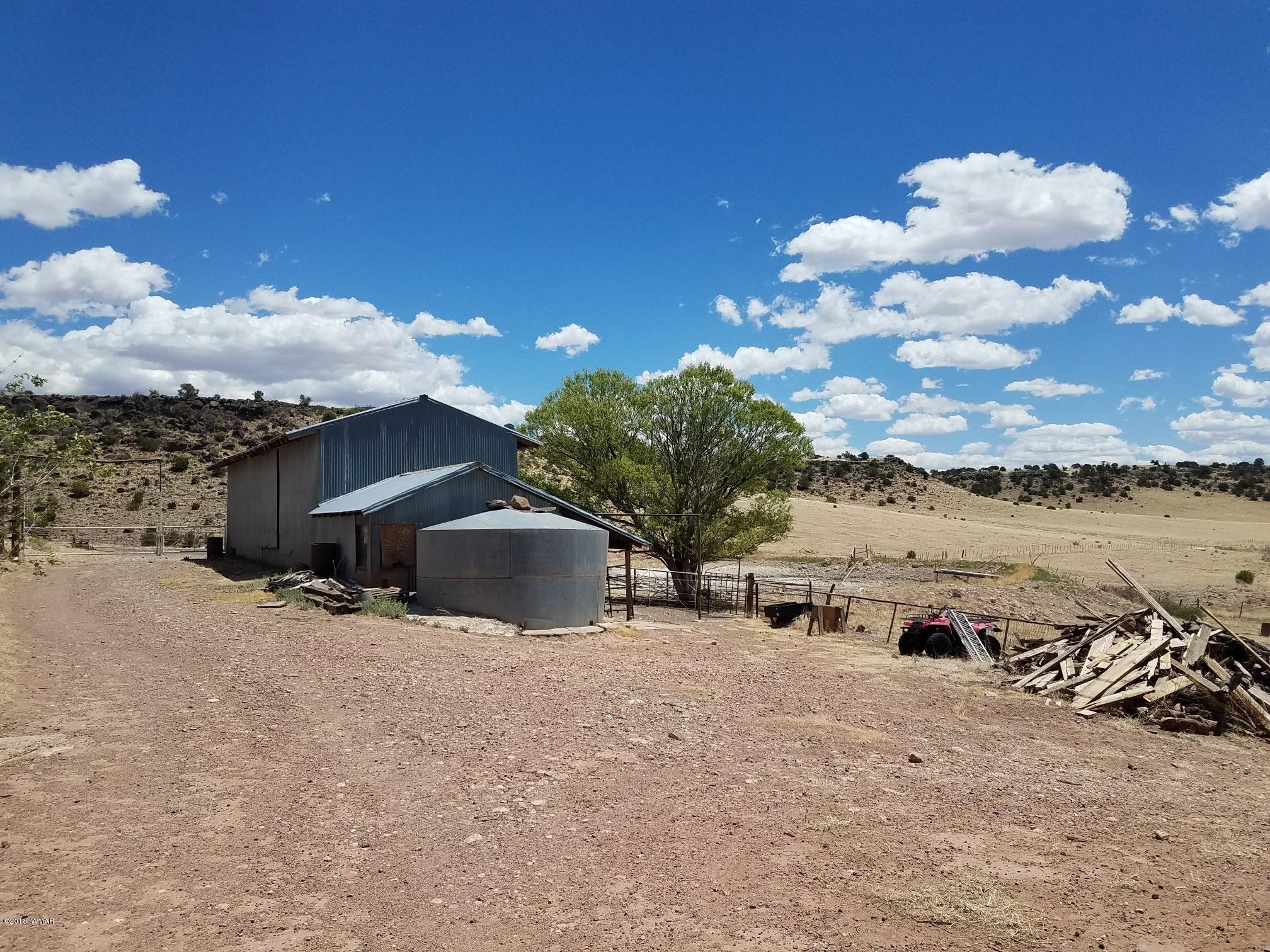 62 North Gutierrez Street Springerville, AZ 85938 - Photo 5 of 36