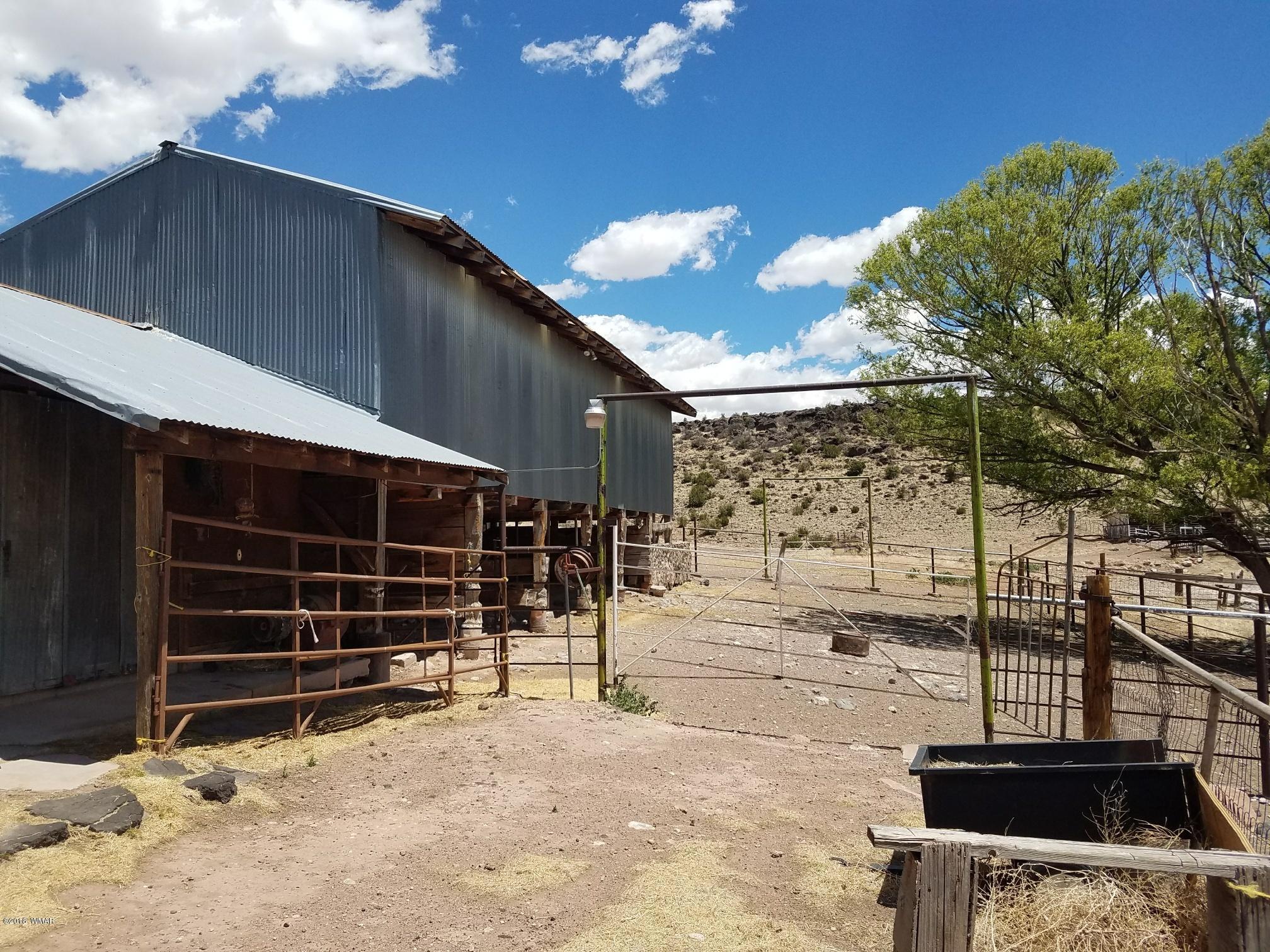 62 North Gutierrez Street Springerville, AZ 85938 - Photo 6 of 36