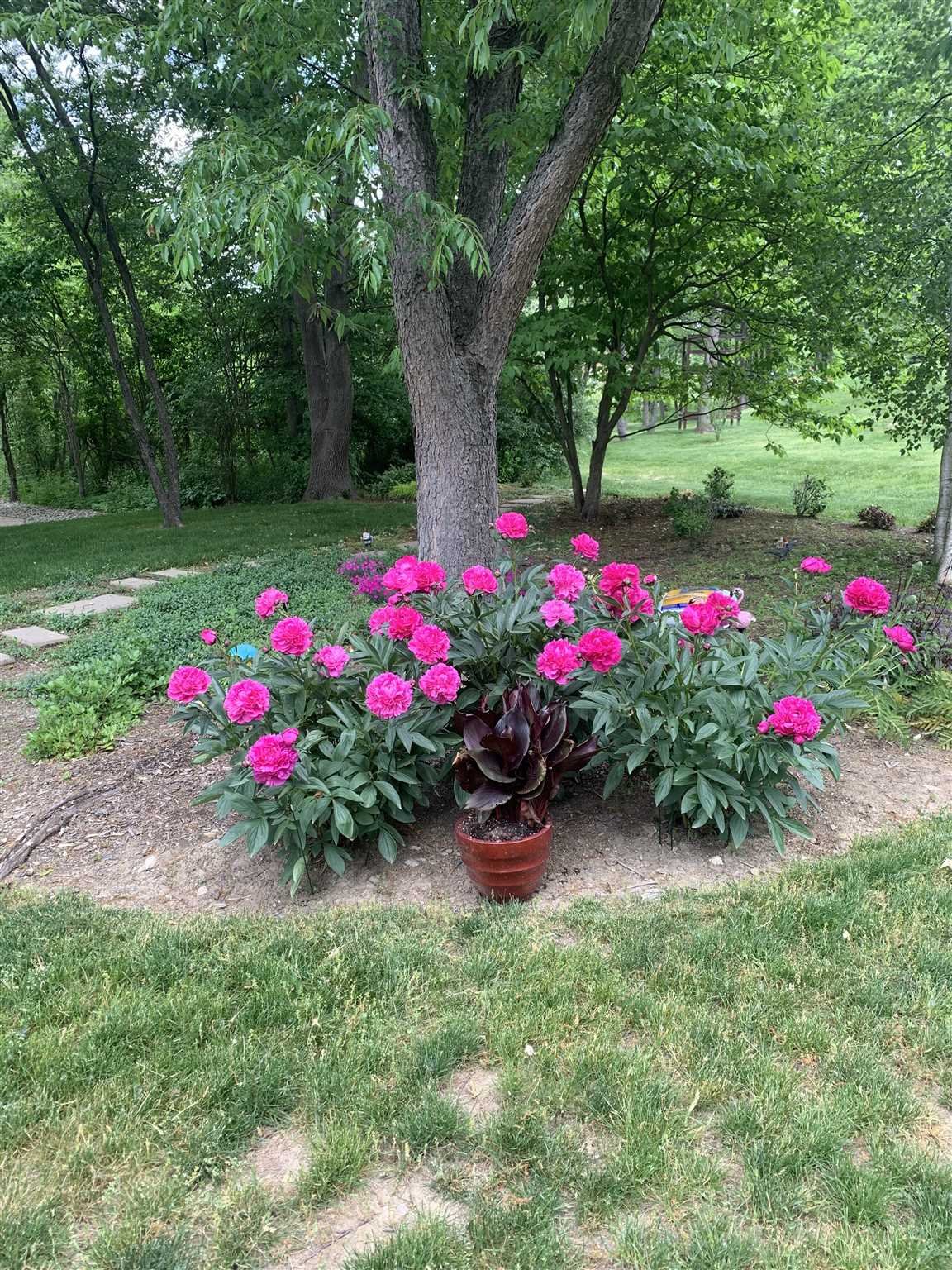25 Riding Ridge Trail Beacon, NY 12508 - Photo 24 of 25 a view of back yard