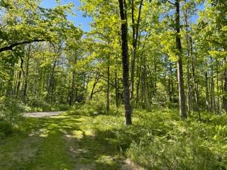 6835 Klein Road Hillman, MI 49746 - Photo 51 of 54 Gallery Image 51