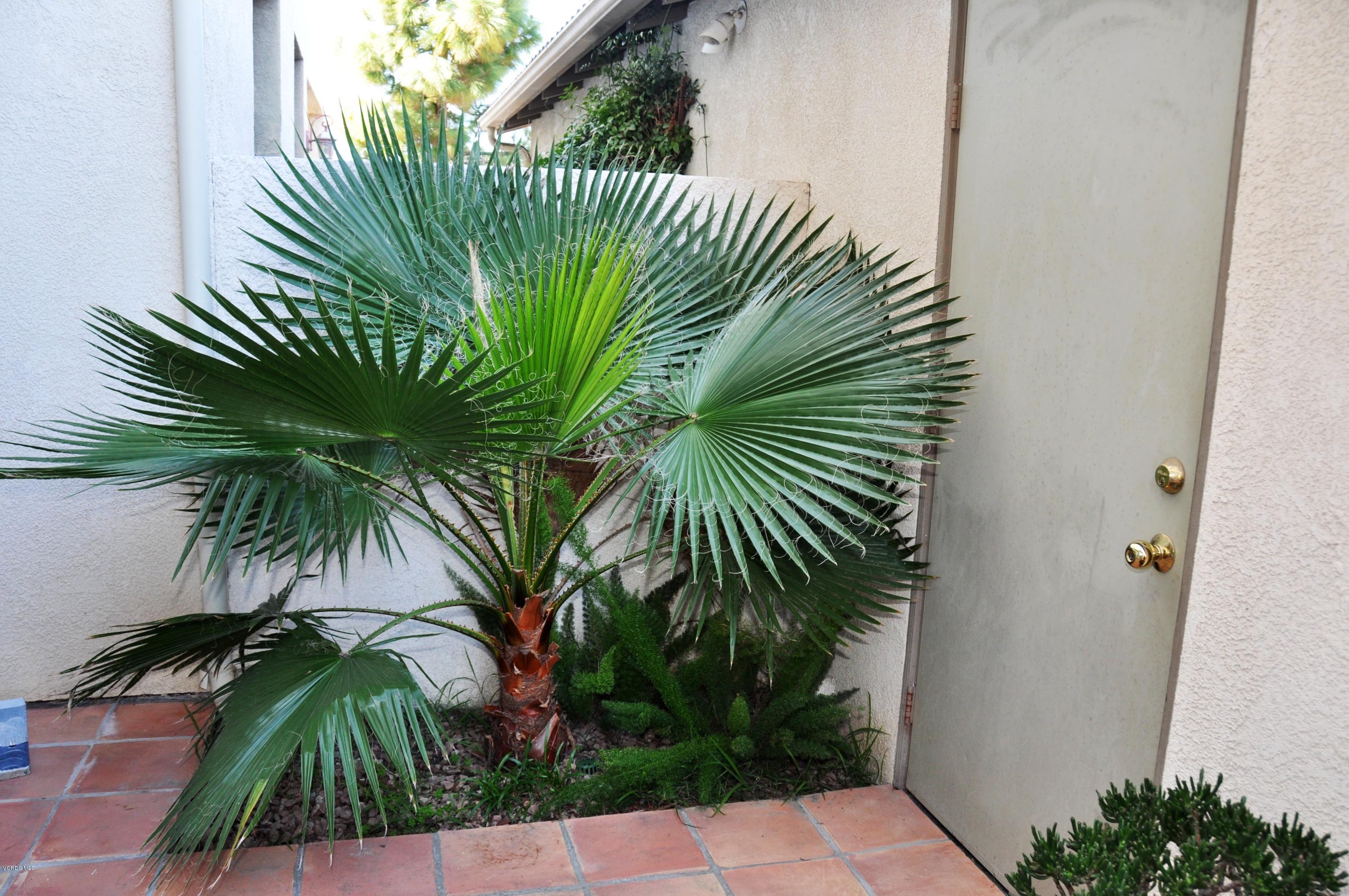 4419 Chesapeake Drive Oxnard, CA 93035 - Photo 47 of 51 Backyard Patio-6