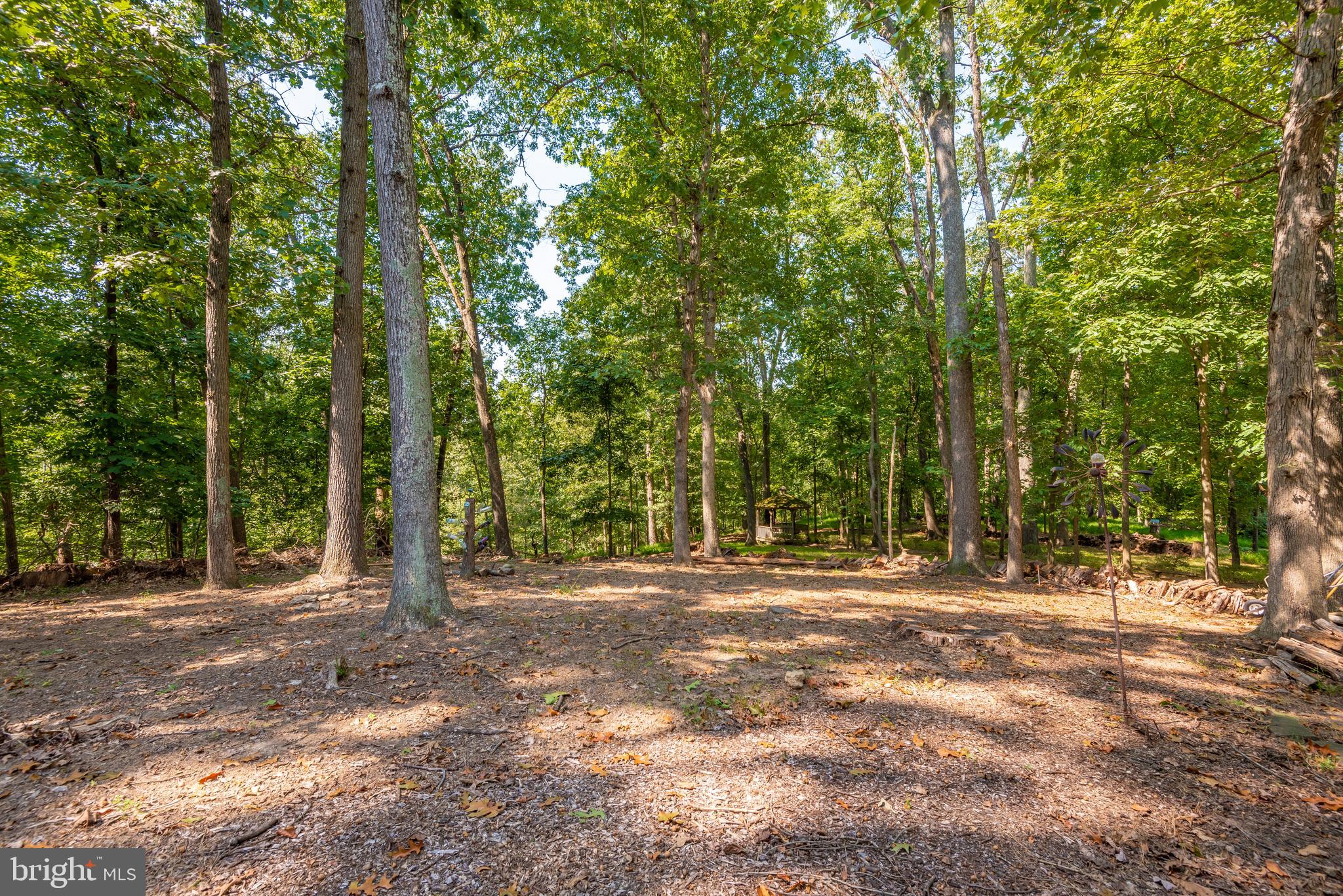10725 Game Preserve Road Gaithersburg, MD 20879 - Photo 48 of 50 EXTERIOR-WOODED BACKYARD