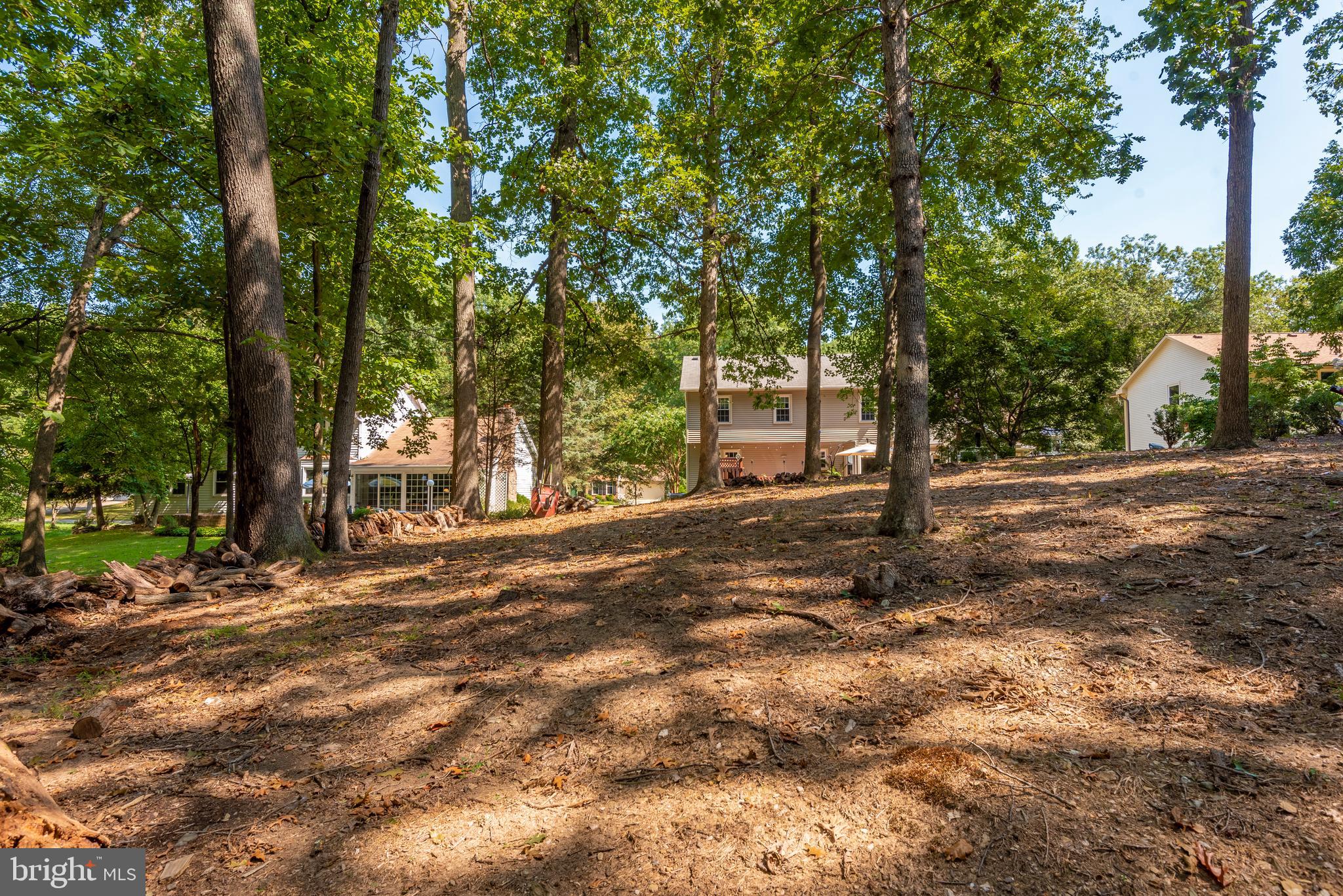 10725 Game Preserve Road Gaithersburg, MD 20879 - Photo 49 of 50 EXTERIOR-WOODED BACKYARD