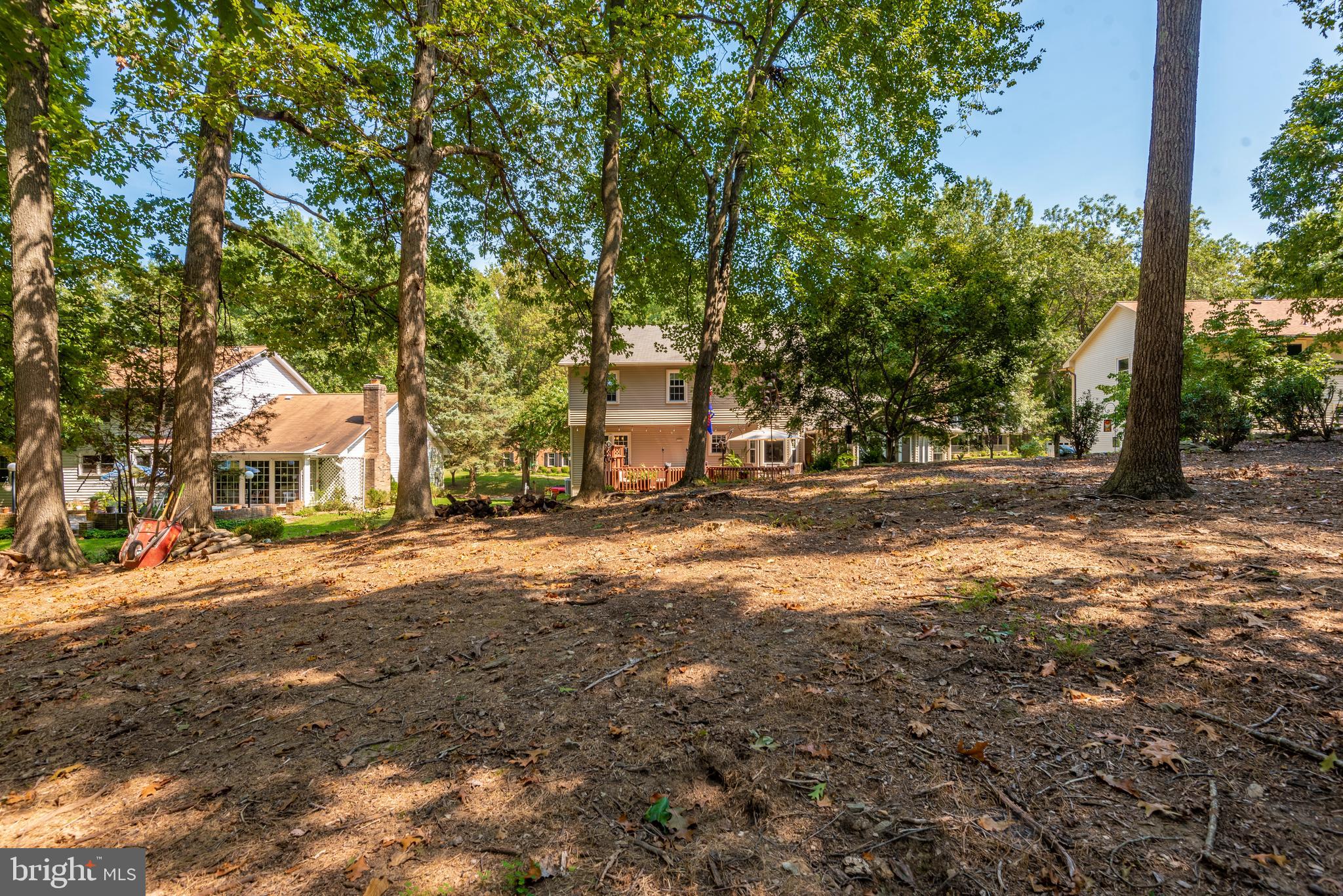 10725 Game Preserve Road Gaithersburg, MD 20879 - Photo 50 of 50 EXTERIOR-WOODED BACKYARD