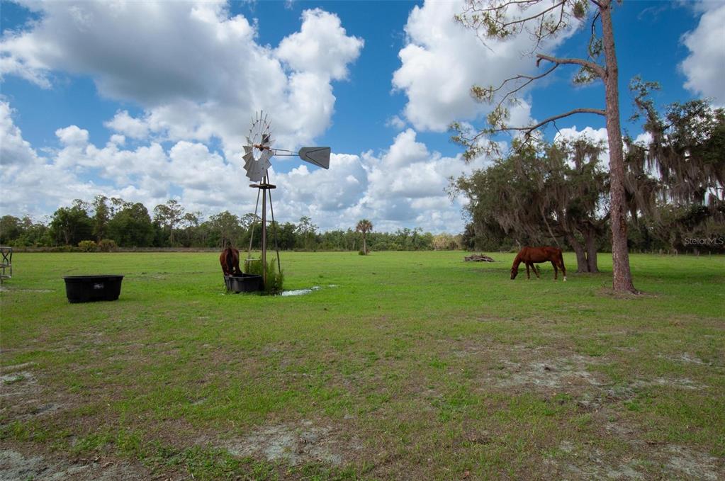 1635 Southwest Rodgers Avenue Arcadia, FL 34266 - Photo 28 of 32 a backyard of a house with lots of green space
