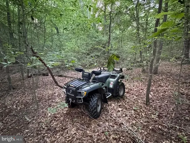 a wooden bench sitting in the middle of a forest