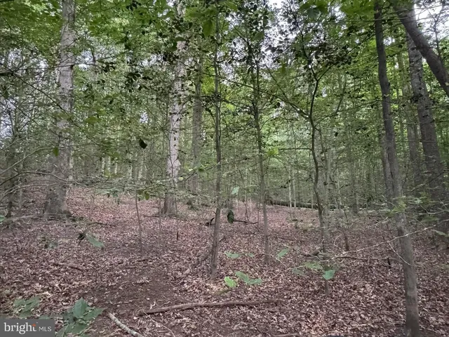 a big yard with lots of green space