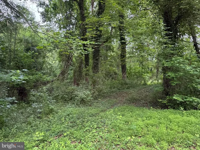 a view of a water pond with green yard