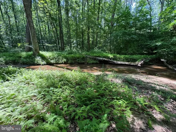 a view of house with a yard