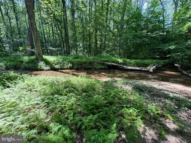 a view of house with a yard