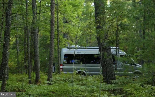 a view of a house with a yard and large tree