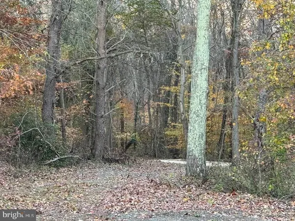 a view of a yard with trees in the background