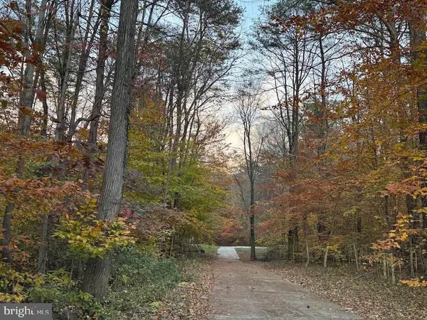a view of outdoor space with trees