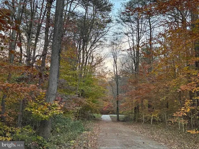a view of outdoor space with trees
