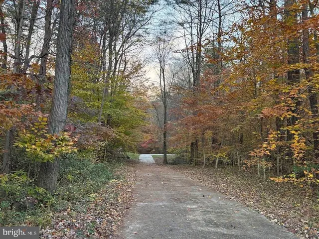 a view of outdoor space with trees