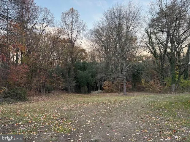 a big yard with trees