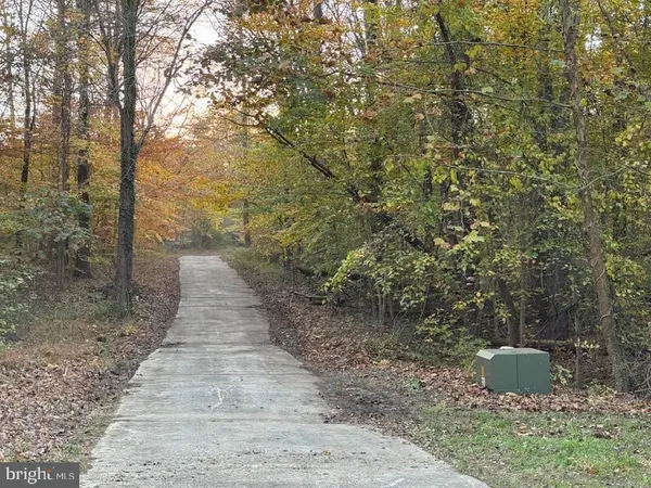 a view of a yard with trees in the background