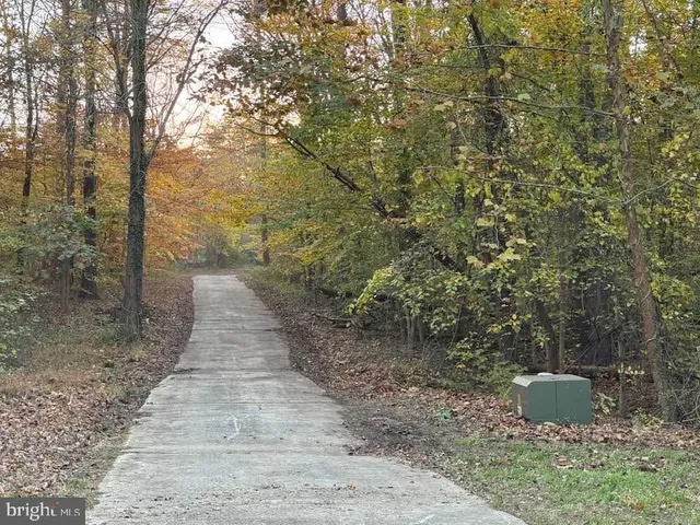 a view of a yard with trees in the background
