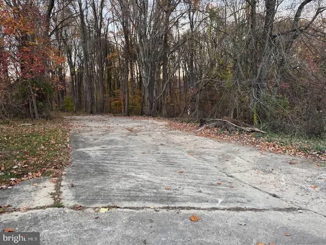a white house with a tree in the background
