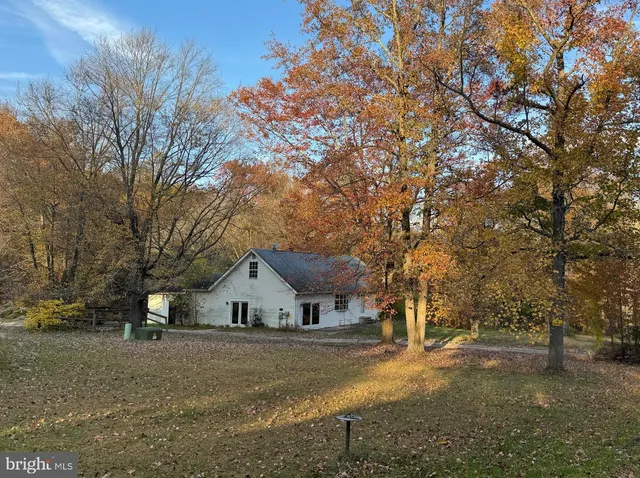 a view of backyard with green space
