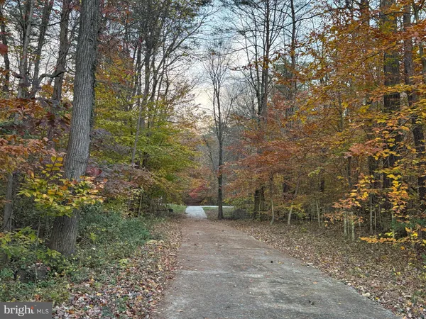 a view of a field with trees in the background
