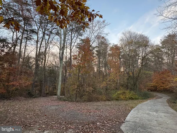 a view of outdoor space with trees