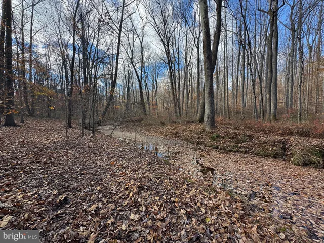a view of a back yard of the house