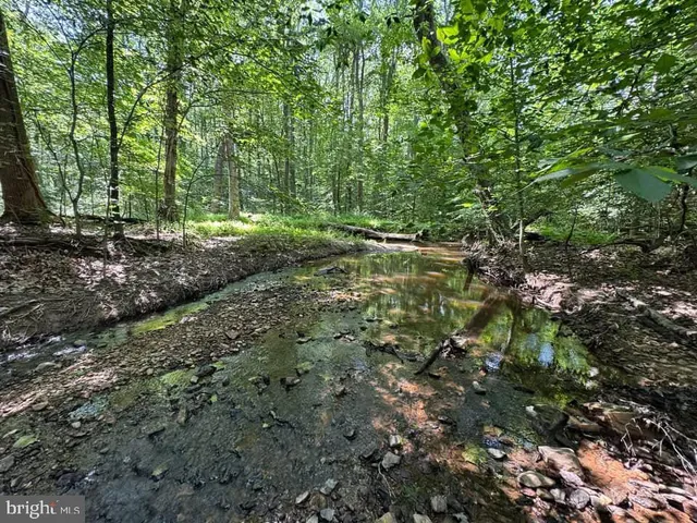 a view of outdoor space and trees