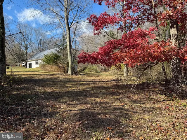 a view of a backyard of the house
