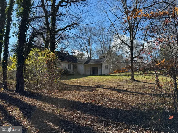 a view of dirt yard with a large tree