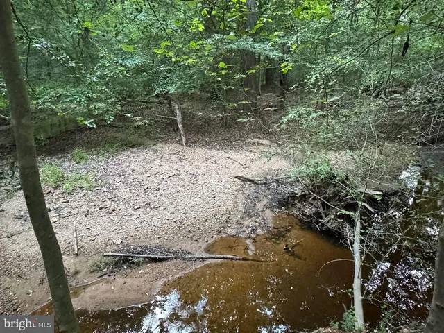a view of a lake with a tree