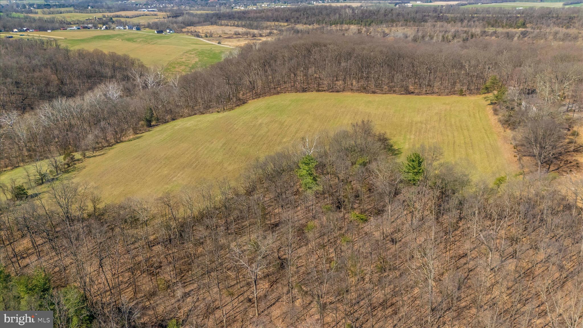 35 /- Acres Off Bennie Duncan Road Frederick, MD 21701 - Photo 9 of 15 DJI_20260320111119_0029_D