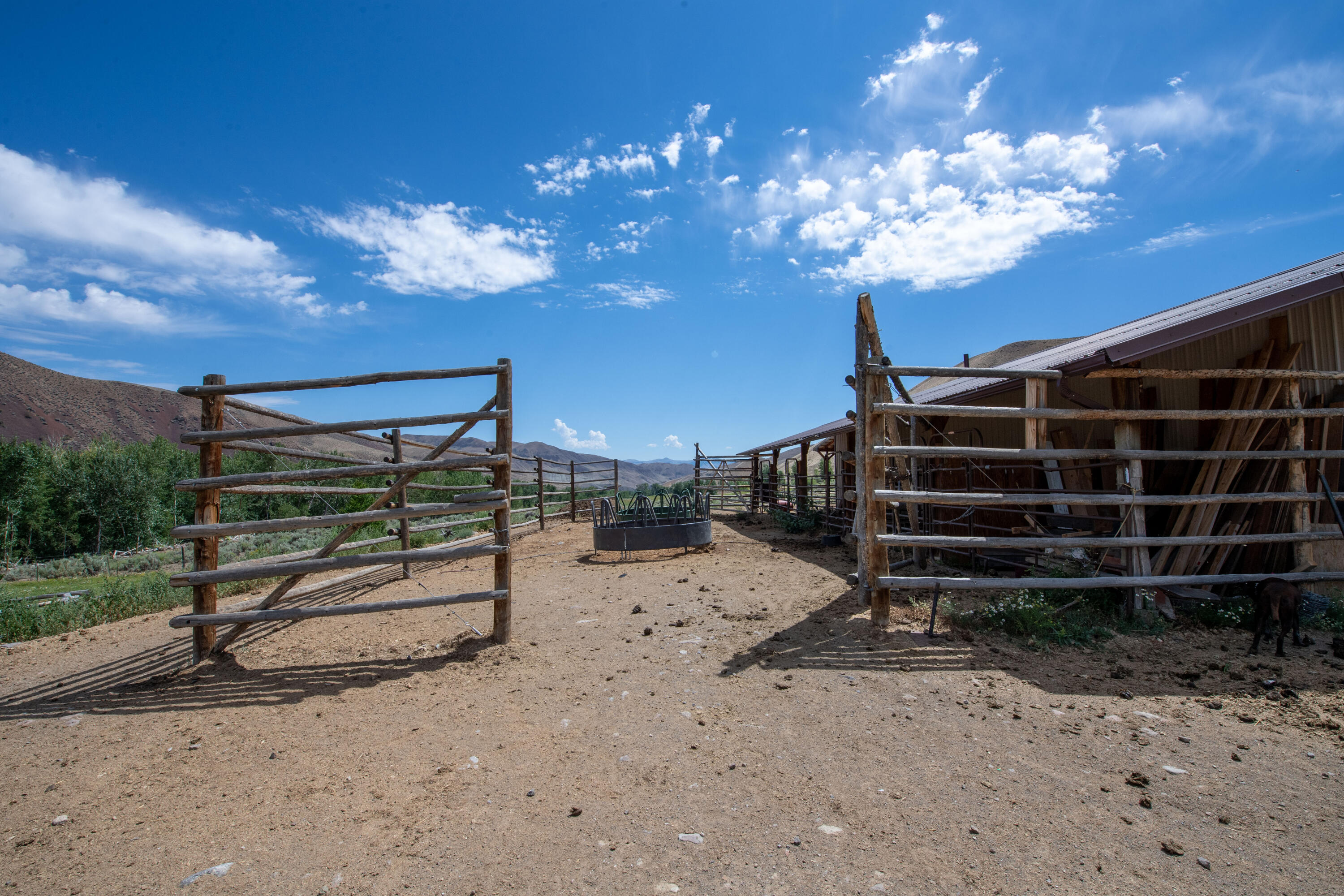 9885 Challis Creek Road Challis, ID 83226 - Photo 45 of 63 Challis Creek