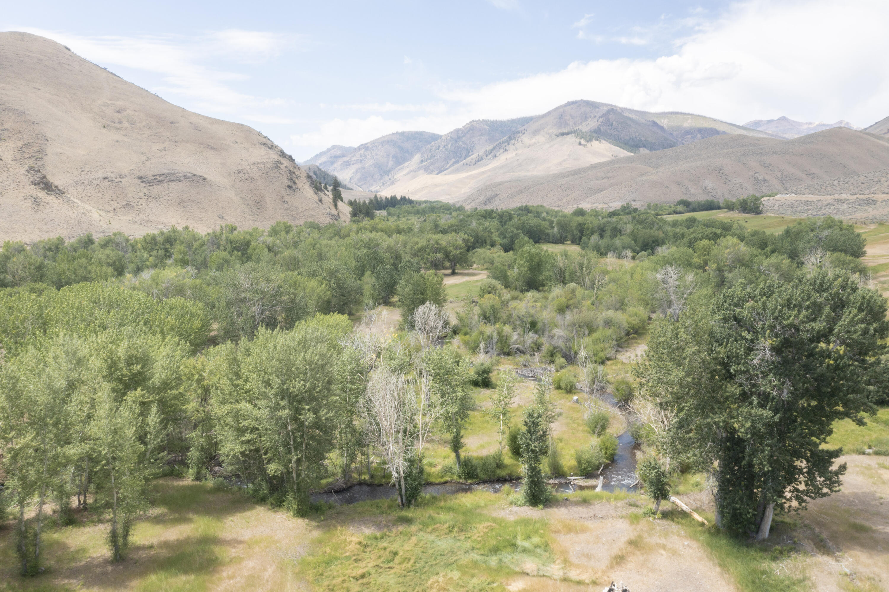 9885 Challis Creek Road Challis, ID 83226 - Photo 5 of 63 Challis Creek Ranch