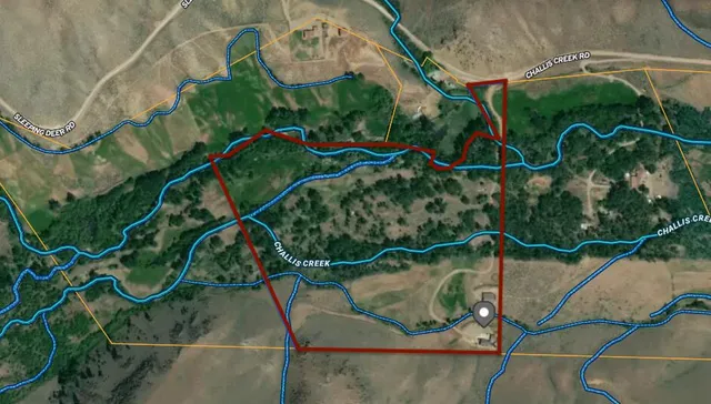 $1,800,000 | 9885 Challis Creek Road, Challis, ID 83226