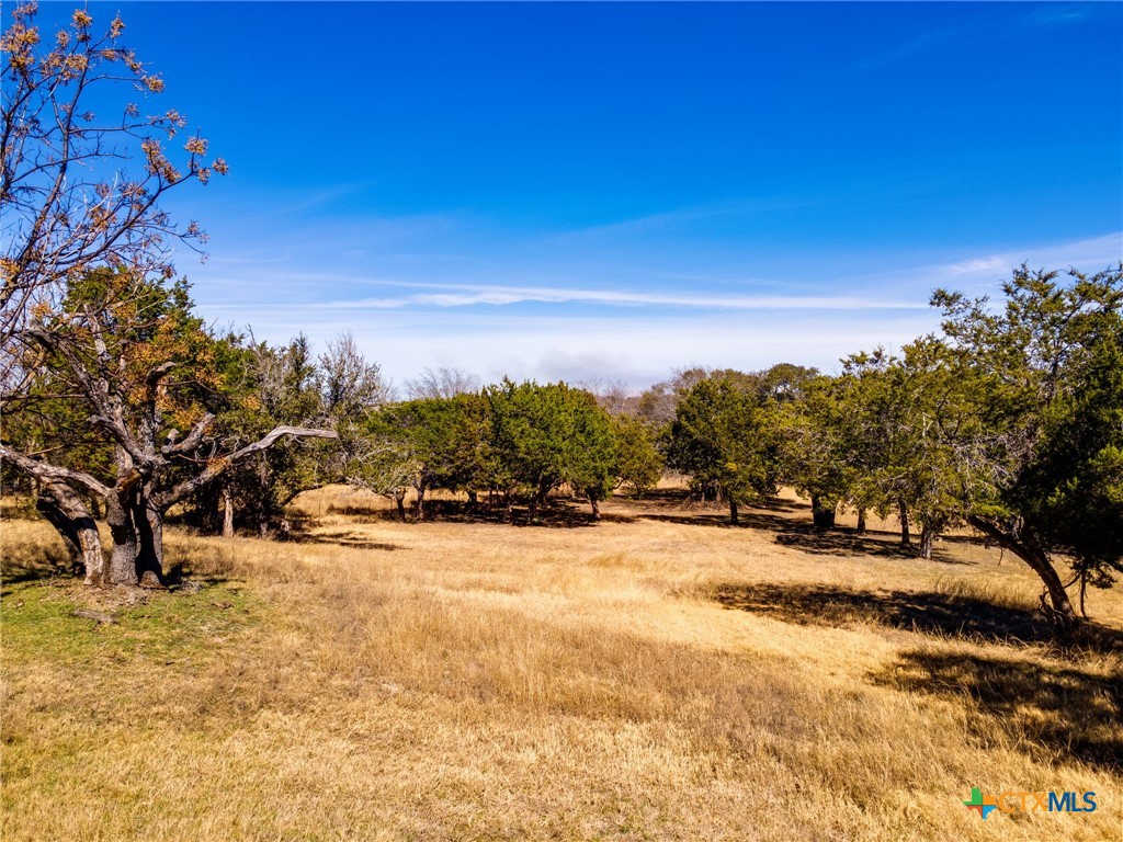 1497 County Road 4930 Kempner, TX 76539 - Photo 33 of 43