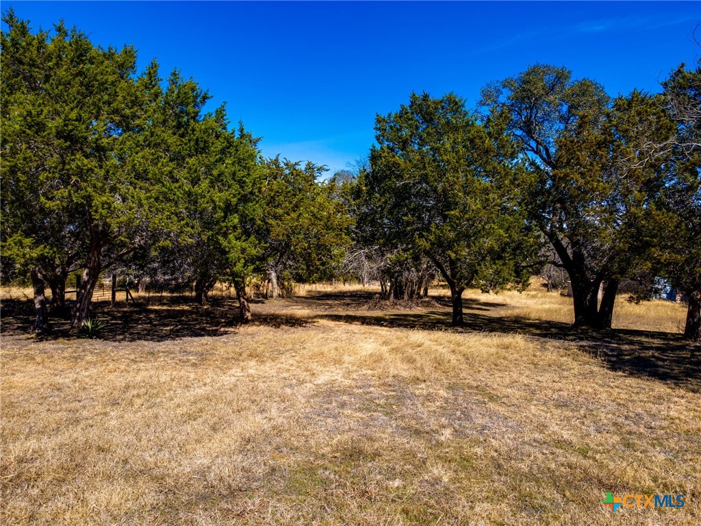 1497 County Road 4930 Kempner, TX 76539 - Photo 35 of 43