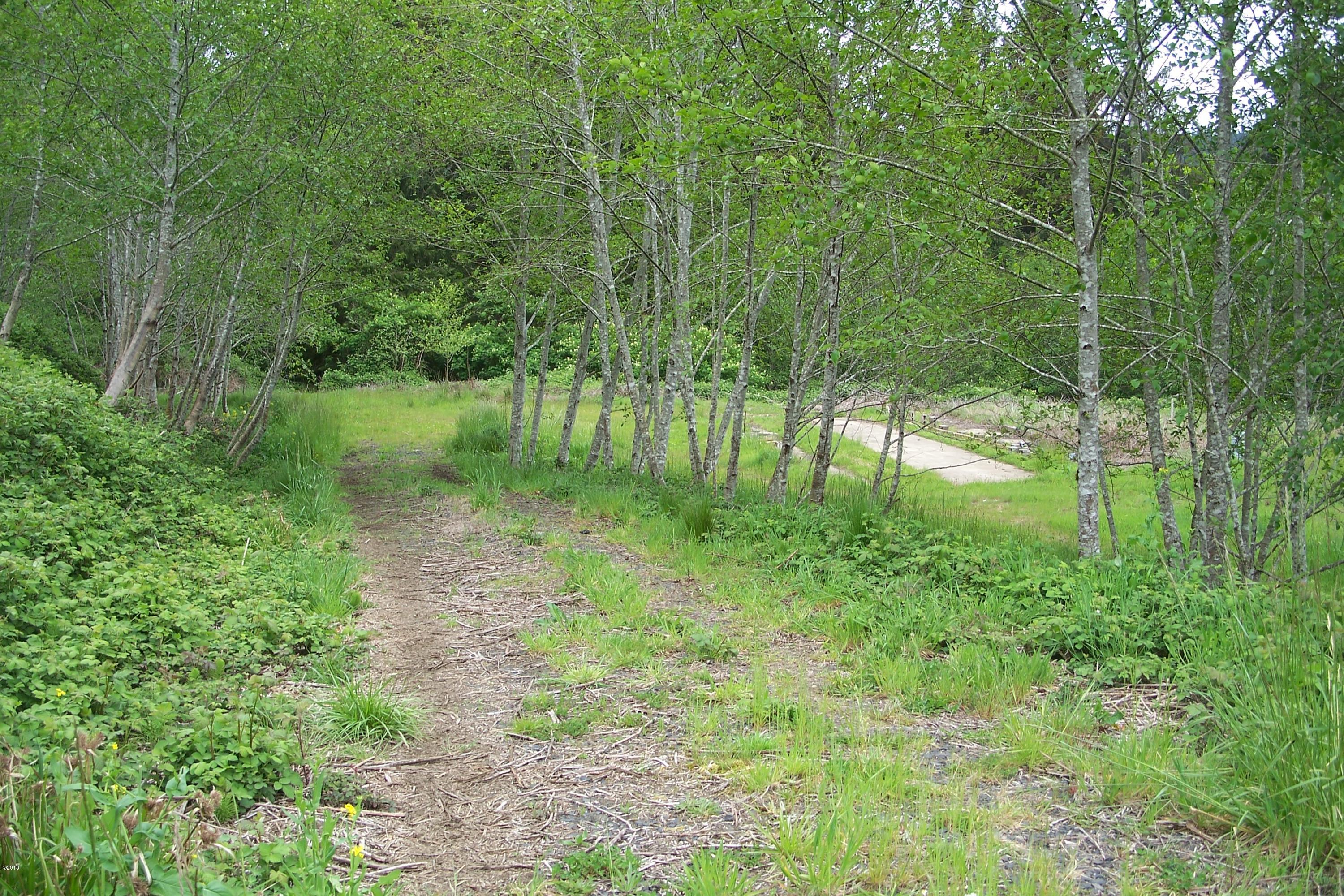 3436 North Bayview Road Waldport, OR 97394 - Photo 5 of 7 Gravel driveway