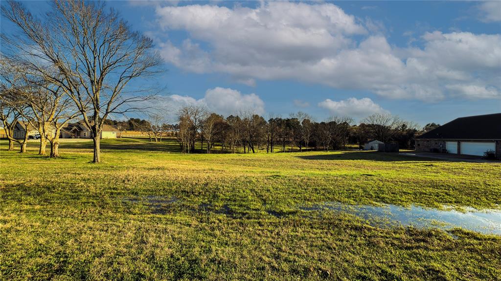 5455 Saddle Ridge Court Athens, TX 75752 - Photo 9 of 25 View of yard featuring a garage