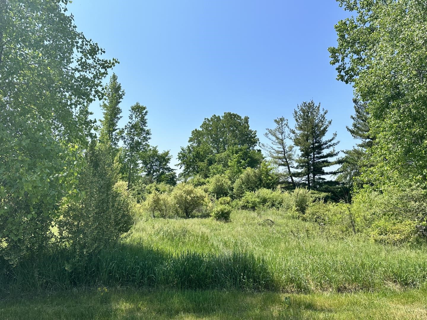 Tbd Tbd Kali, Unit 5 Alma, MI 48801 - Photo 4 of 21