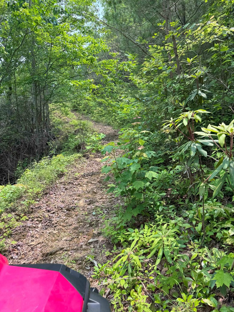 88-acres Bolden Branch Road Andrews, NC 28901 - Photo 26 of 34