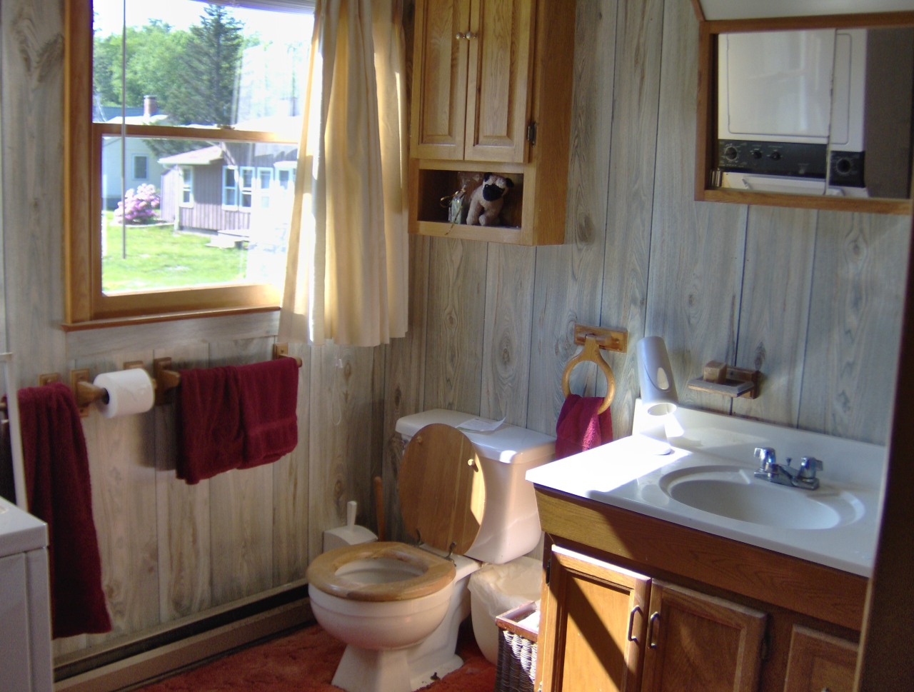 92 Access Road 3 Road, Unit 3 Plainfield, MA 01070 - Photo 14 of 19 a bathroom with a sink toilet and mirror