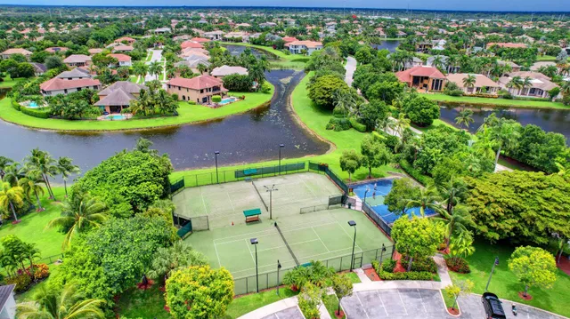 a view of a yard with palm trees