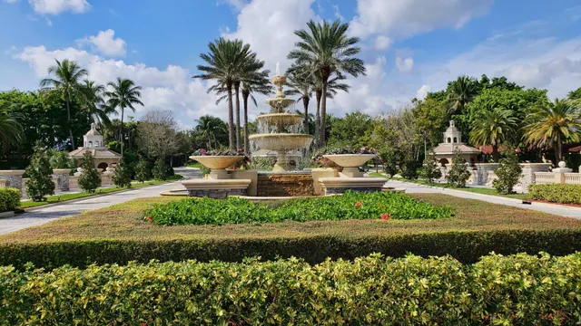 a view of a palm trees