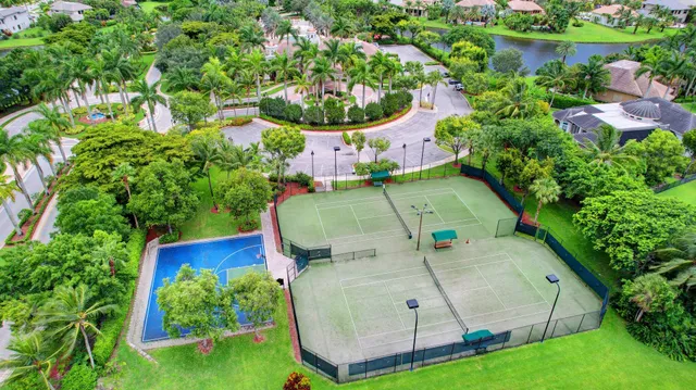 a view of a backyard with palm trees