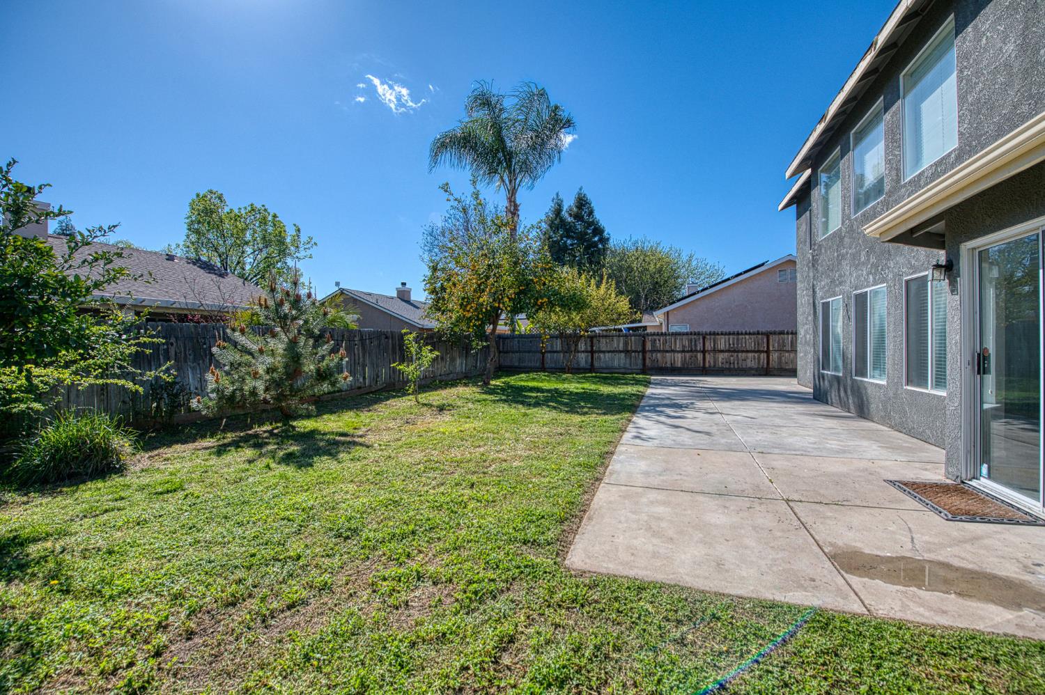 2836 Griffith Avenue Clovis, CA 93611 - Photo 32 of 41 a view of backyard with potted plants and a large tree