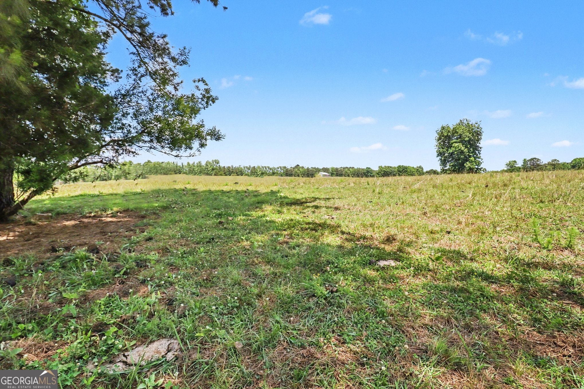 8715 Forrest Road Grantville, GA 30220 - Photo 52 of 64
