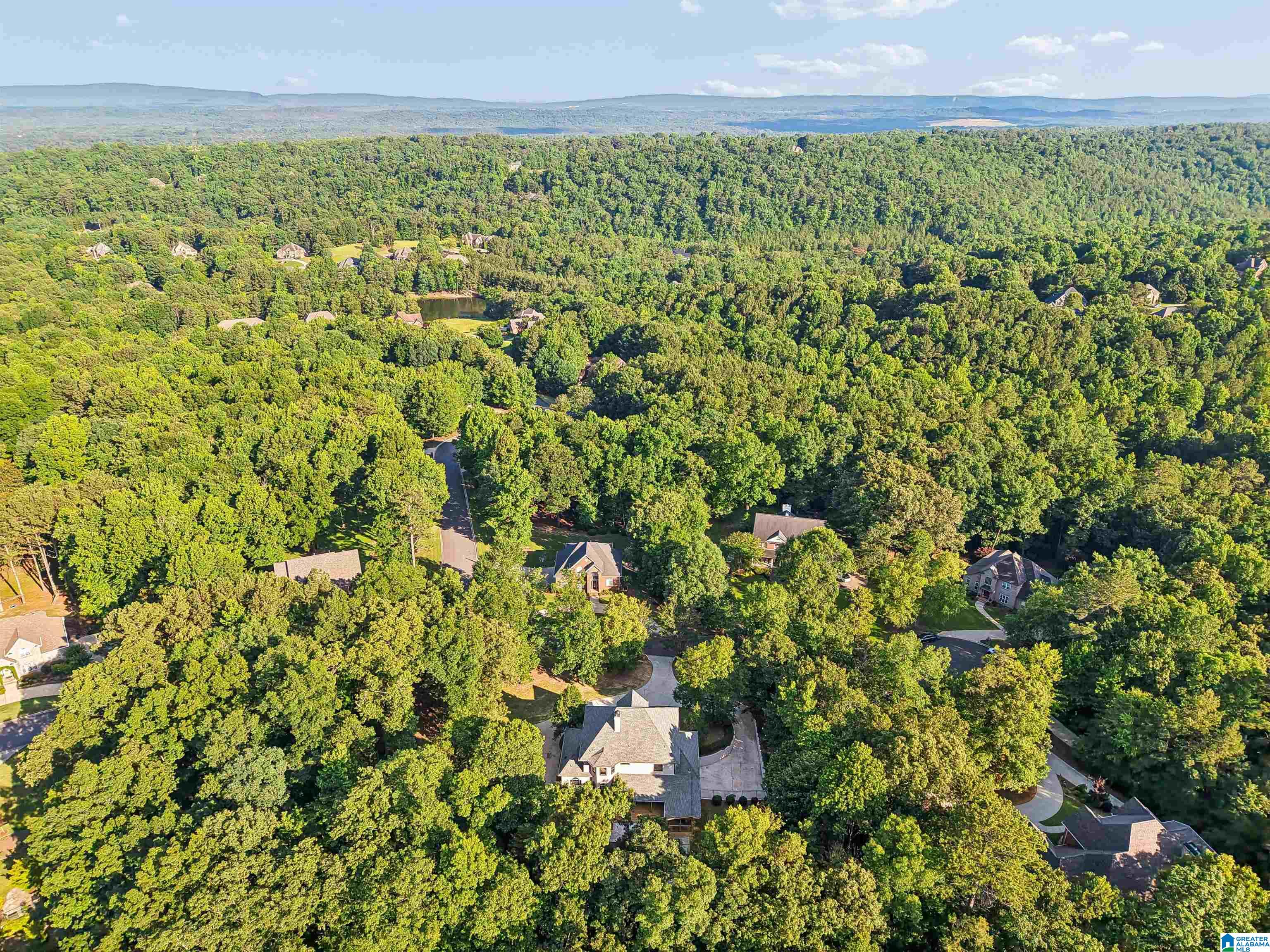 5609 Ridgeview Drive Trussville, AL 35173 - Photo 59 of 62