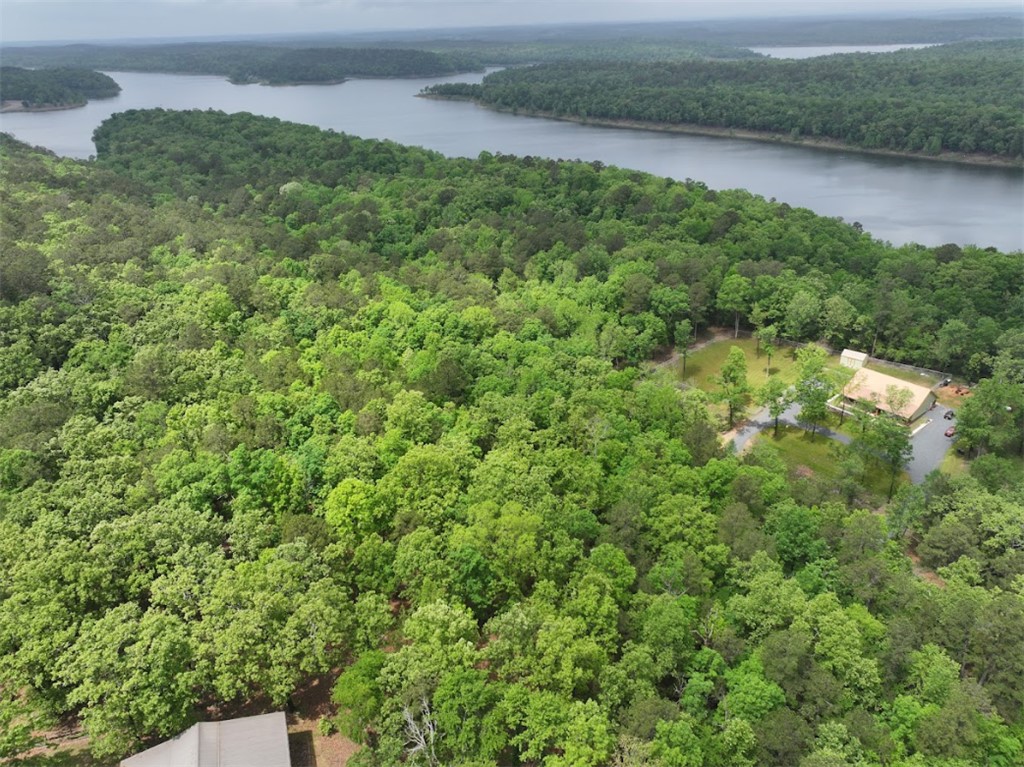 648 Dequeen Lake Road De Queen, AR 71832 - Photo 37 of 46 Gallery Image 37