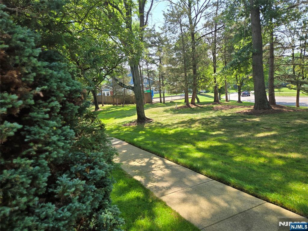 42 Birchwood Road Bedminster, NJ 07921 - Photo 3 of 46